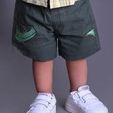 Green Crocodile embroidered shorts for baby boys