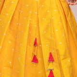 Red Blouse with butterfly embroidery and Mustard Skirt