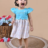 Baby Girl wearing Blue and White frock with embroidery