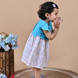 Baby Girl wearing Blue and White frock with embroidery