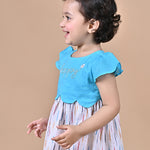 Baby Girl wearing Blue and White frock with embroidery