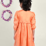 Girl wearing Dragon flies embroidered  orange cotton frock