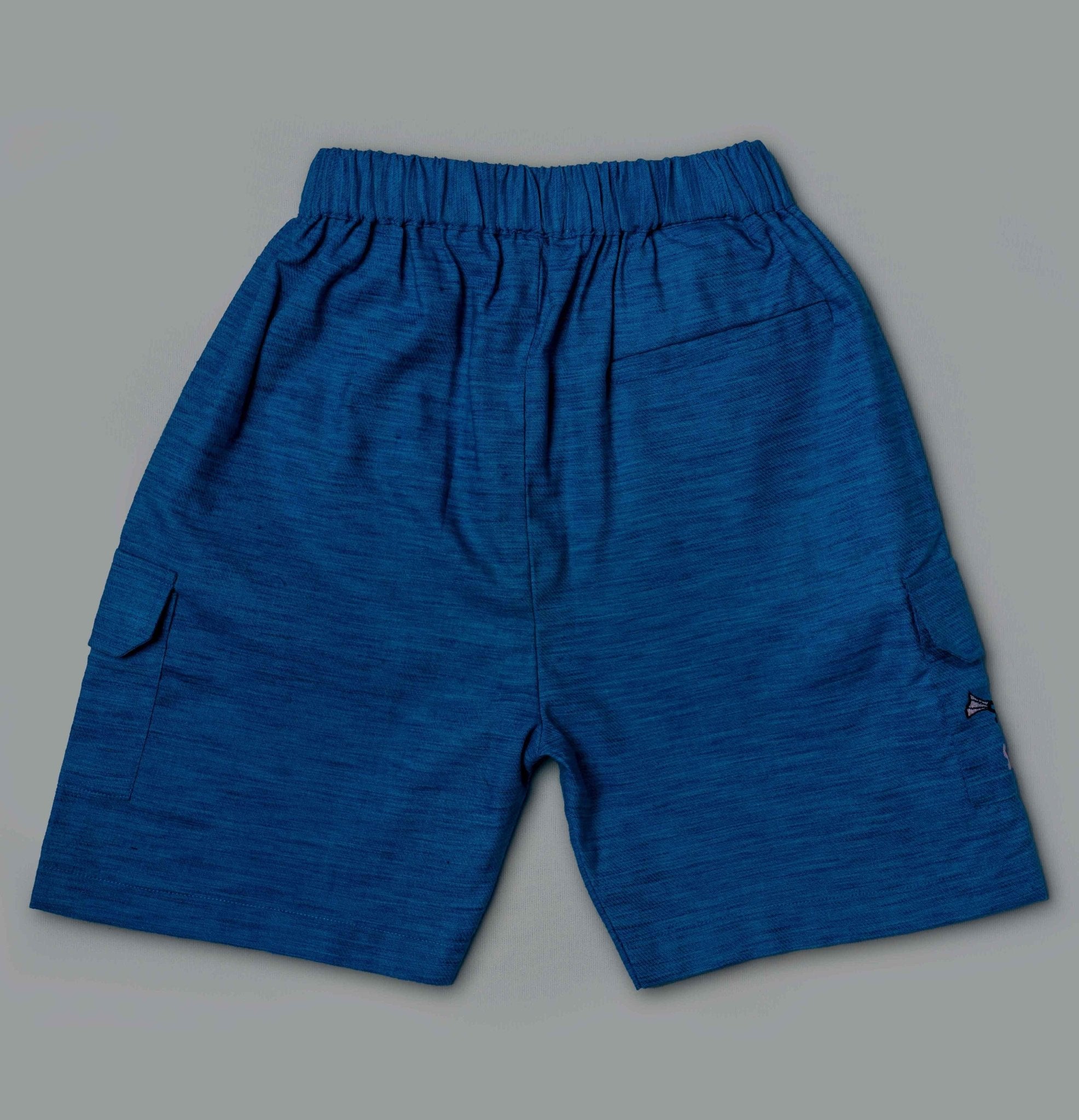 Blue Denim Shorts for Boys - littlellama.in